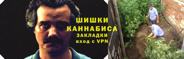 метадон Вяземский