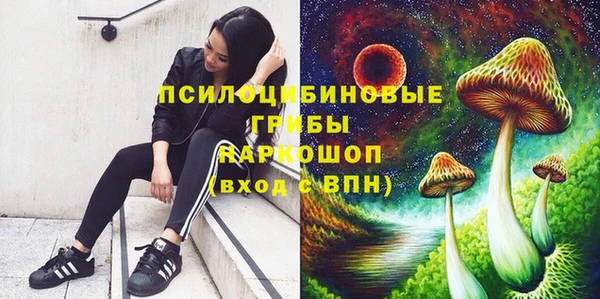 метадон Вяземский