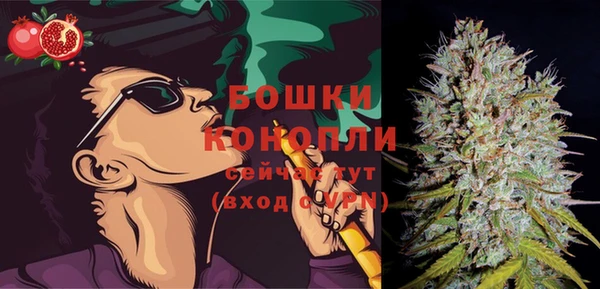 метадон Вяземский