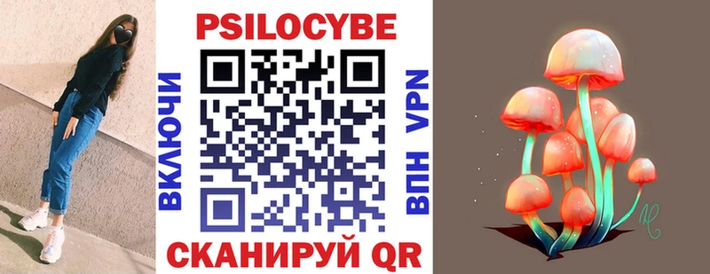 Купить закладки  Пудож  Галлюциногенные грибы Psilocybine cubensis 