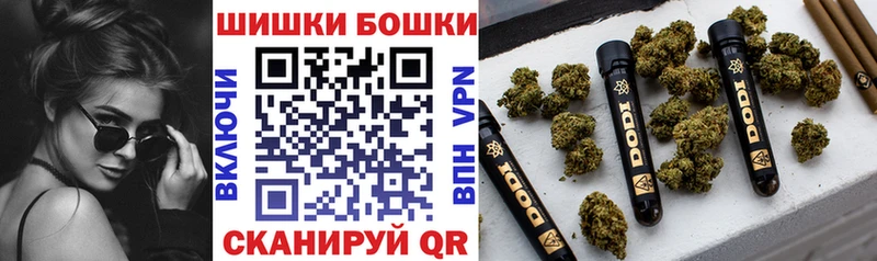 Бошки Шишки гибрид  Купить  Пудож 